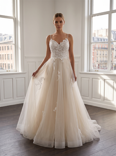 paghetti Strap V Neck Floral Lace Champagne Tulle Wedding Dress Low V Back Vertical Bridal Gown