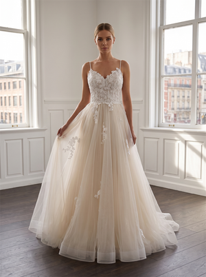 paghetti Strap V Neck Floral Lace Champagne Tulle Wedding Dress Low V Back Vertical Bridal Gown