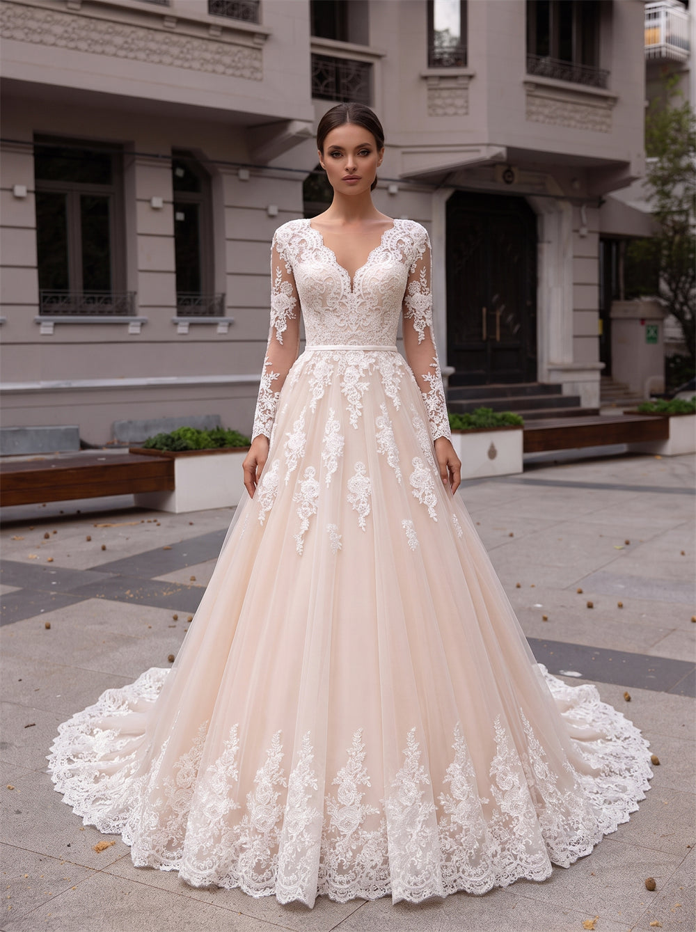 Long Sleeve V Neck Lace Champagne Tulle Wedding Dress Low V Back Ball Gowns Bridal Gown