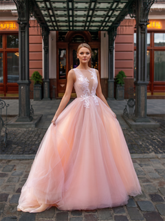 Sleeveless Illusion Neck Floral Lace Blush Tulle Ball Gown Evening Dress Low V Back Prom Dress